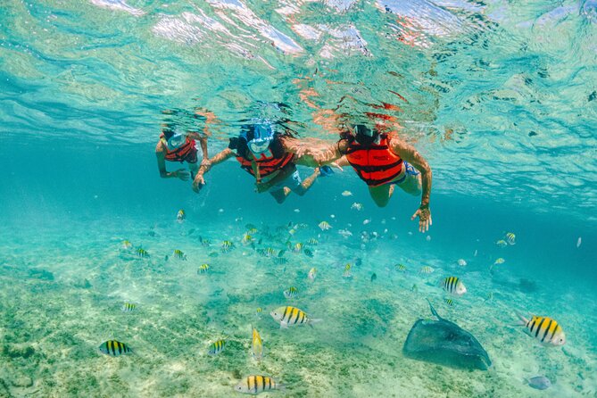2 Day Combo Tour, Xcaret, Xel-Ha, Xplor and Chichen Itza Option - Getting There Smoothly: Pickup, Timing, and the Bracelet Step