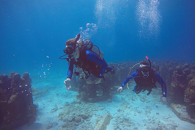 2 Days Class: SDI Open Water Diver Certification in Cancun - Why Cancun Is a Smart Place to Earn SDI Open Water Fast