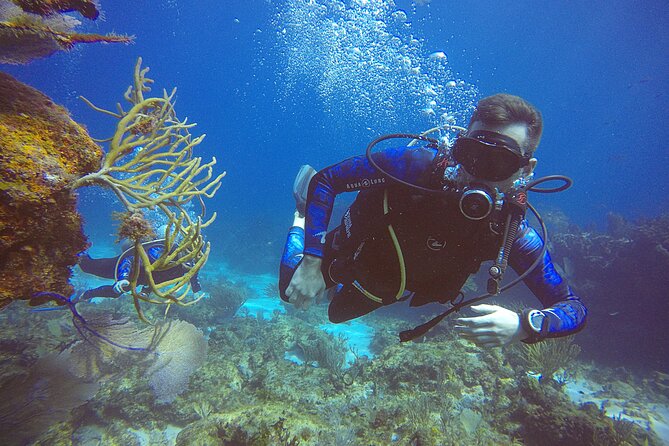 2 Days Class: SDI Open Water Diver Certification in Cancun - What You Get for $600: Value Breakdown That Actually Helps