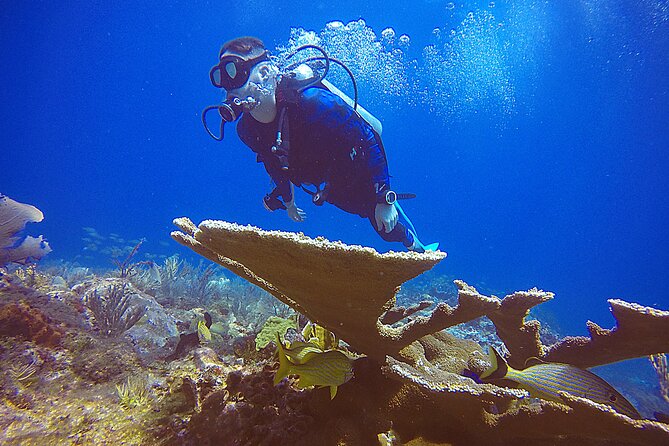 2 Days Class: SDI Open Water Diver Certification in Cancun - Instructors Matter: Marin and Carolina’s Style of Calm, Step-by-Step Coaching
