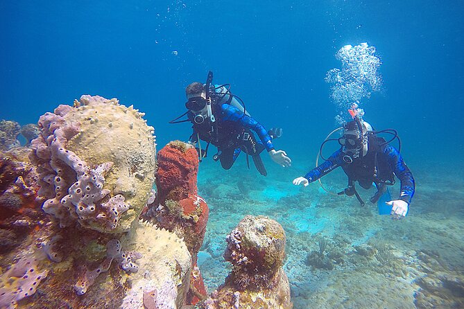 2 Days Class: SDI Open Water Diver Certification in Cancun - Online eLearning First, Then Pool Skills at 8:00 AM