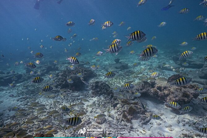 2-Hour Snorkeling Paradise Reef in Cancún Underwater Museum - Getting Set Up at Aquaworld Cancun Without the Packing Headache