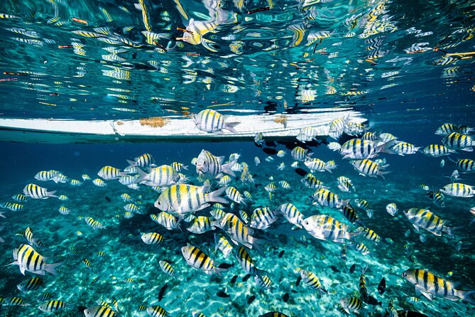 2 in 1 Parasail Cancun and Jet ski - Practical tips so your parasail and jet ski day runs clean
