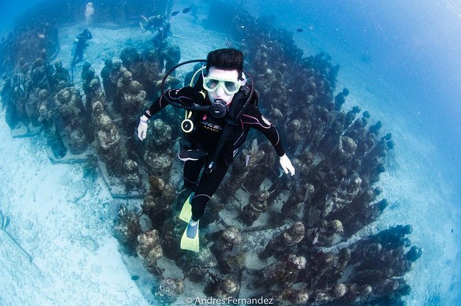 2 Tank Dives MUSA and Manchones reef (Certified divers) - MUSA and Manchones: the underwater museum you can swim beside