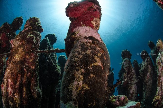 2 Tank Dives MUSA and Manchones reef (Certified divers) - Price and value: what $167.28 really buys you