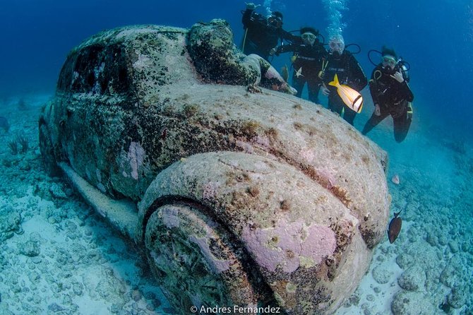 2 Tank Dives MUSA and Manchones reef (Certified divers) - Extra fees and practical logistics, so you don’t lose vacation time