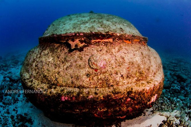 2 Tank Dives MUSA and Manchones reef (Certified divers) - Your 4-hour morning schedule, broken into real moments