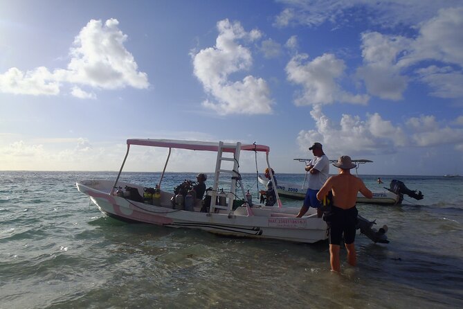 2 Tank Reef Dive in Mexico - A two-tank reef day built for certified scuba users in Cancun