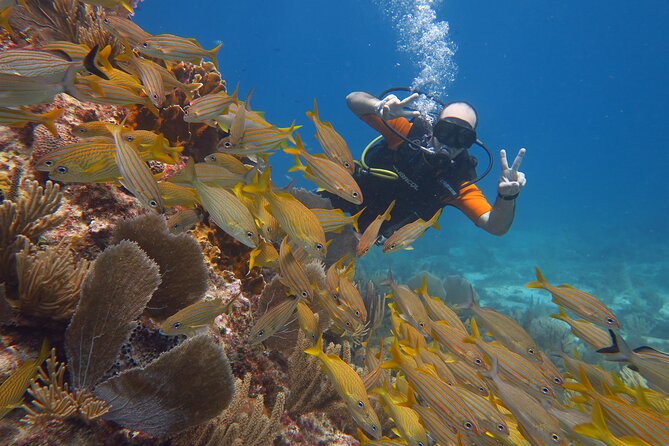 2 Tanks Dives Cancun Underwater Museum for Certified Divers - Boat ride reality in Cancun, seasickness help, and coral-safe sunscreen rules