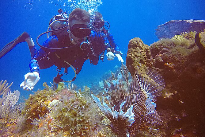 2 Tanks Scuba Diving in Punta Cancun Reefs for Certified Divers - Gear is handled for you, so you can spend energy on the water
