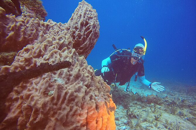 2 Tanks Scuba Diving in Punta Cancun Reefs for Certified Divers - What the two reef sessions feel like underwater
