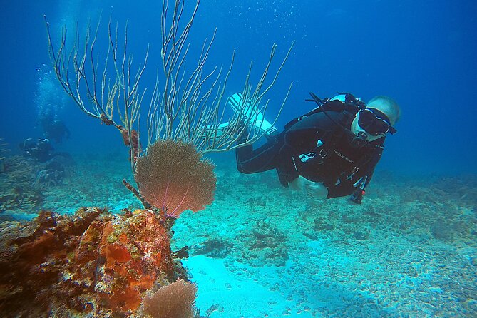 2 Tanks Scuba Diving Wreck and Reef in Cancun for Certified Divers - Tank 2 on a Cancun Reef: How the Crew Chooses Where to Go