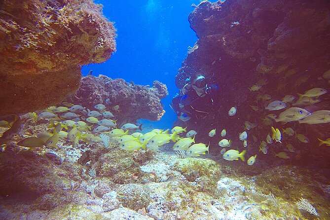 2 Tanks Scuba Diving Wreck and Reef in Cancun for Certified Divers - Medical Restrictions: The Part You Must Read Twice
