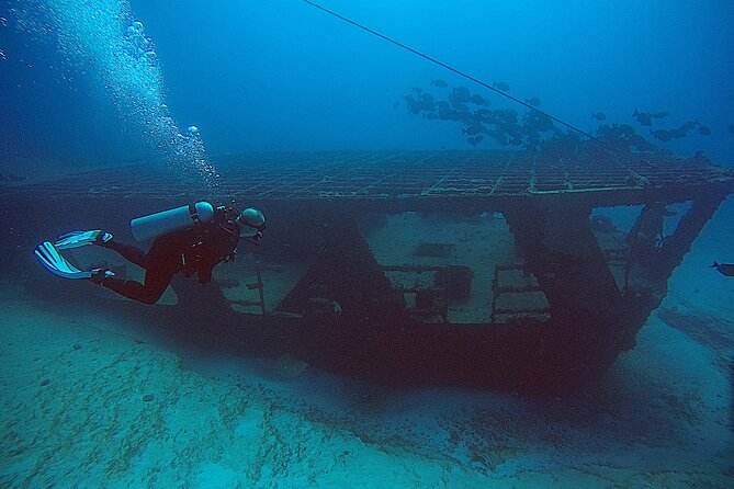 2 Tanks Scuba Diving Wreck and Reef in Cancun for Certified Divers - Gear, Wetsuits, and Fees That Stay Put