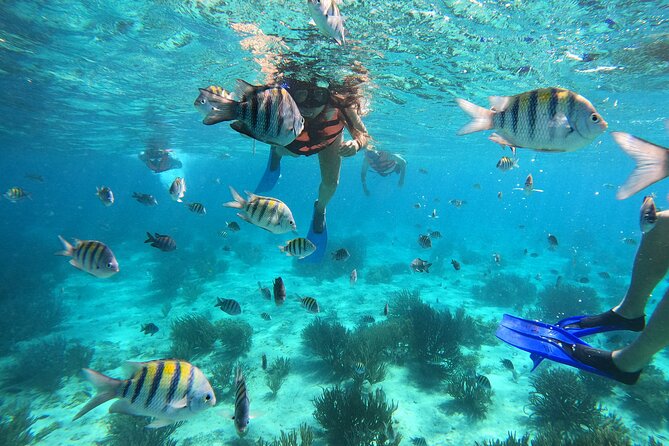 3 Hours VIP Semiprivate Tour Isla Mujeres Full Snorkeling Experience - Key things to know before you go