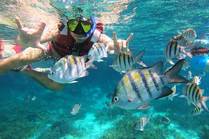 3 Hours VIP Semiprivate Tour Isla Mujeres Full Snorkeling Experience - The VIP semi-private setup, and why it changes the day