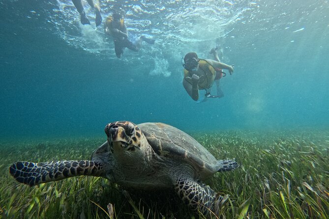 3 in 1 Jungle Tour Adventure Cancun - Steering Your Own Speedboat Through Nichupté Lagoon