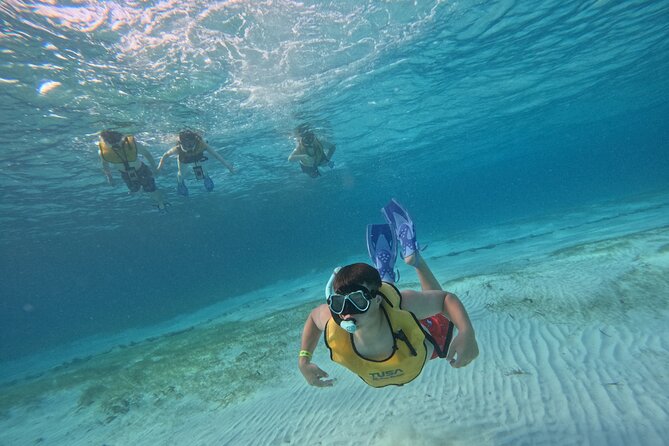 3 in 1 Jungle Tour Adventure Cancun - MUSA Underwater Museum: Art You Can See in Motion