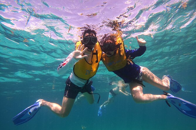 3 in 1 Jungle Tour Adventure Cancun - Cenote Time: A Natural Water Surprise