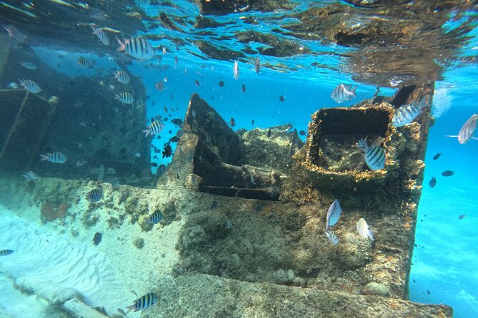 3 in 1 Jungle Tour Adventure Cancun - Price and Value: What $47 Really Buys
