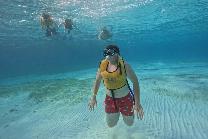 3 in 1 Jungle Tour Adventure Cancun - Snorkeling Cancun’s Reef, Plus Sea Turtles