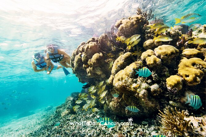 3-in-1 Puerto Morelos: Snorkeling, Tequila & Beachside Lunch - Puerto Morelos Free Time: A Real Town Stop, Not Just a Photo Stop