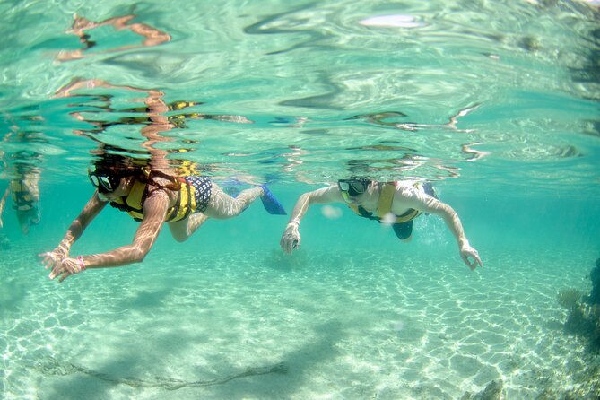 3-in-1 Puerto Morelos: Snorkeling, Tequila & Beachside Lunch - Transport Reality Check: Boats, Drivers, and the Tip Question