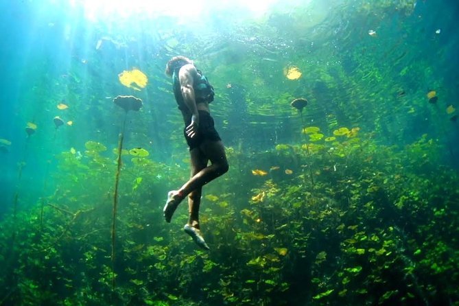 4-in-1 Cenote Tour Guided Experience with Breakfast, Lunch & Wine - Yucatan cenotes near Puerto Morelos: what this tour is really like