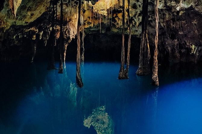 4-in-1 Cenote Tour Guided Experience with Breakfast, Lunch & Wine - Há (Water) Cenote: underwater gardens plus kayaking