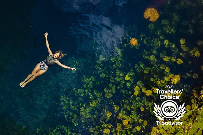 4-in-1 Cenote Tour Guided Experience with Breakfast, Lunch & Wine - Jungle picnic lunch with wine and beer