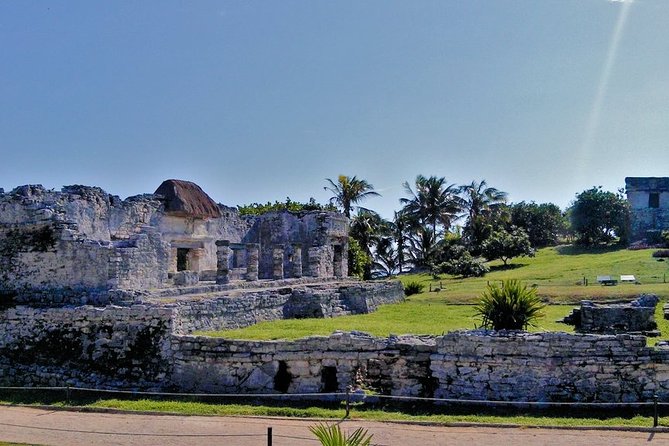 4x1 Tour to Tulum, Coba, a Cenote and Playa del Carmen for only one price! - Coba in the Jungle: Why It Was a Heavy Hitter