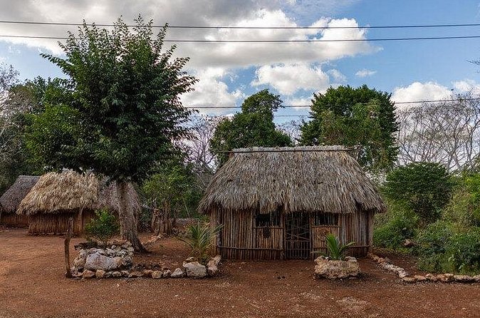 4x1 tour:Tulum/Coba,Cenote,Mayan Village& 5th Av Playa del Carmen - Playa del Carmen on 5th Avenue: Your Downtown Breather