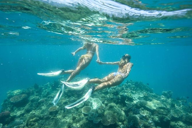 5-in-1 Adventure in Cancun: ATVs, Ziplines, Speed Boat, Snorkel and Cenote Swim - Shared transport and pacing: the part nobody puts in the photos