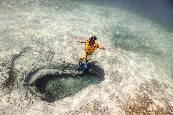 5-in-1 Cancun Snorkeling Tour with Sea Life & Transport Included - Key things I’d clock before you go