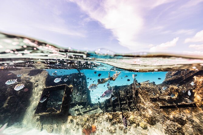 5-in-1 Cancun Snorkeling Tour with Sea Life & Transport Included - A shipwreck stop with coral, color, and white-sand clarity