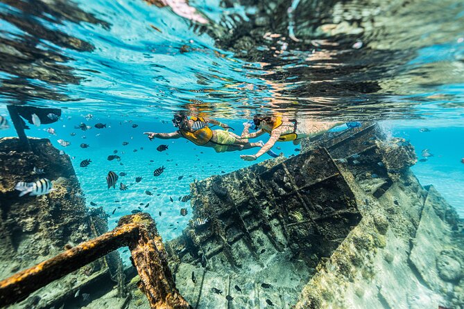 5-in-1 Cancun Snorkeling Tour with Sea Life & Transport Included - Price and value: what you’re really paying