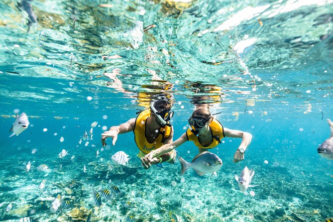 5-in-1 Cancun Snorkeling Tour with Sea Life & Transport Included - Boat ride, small-group feel, and how to prepare