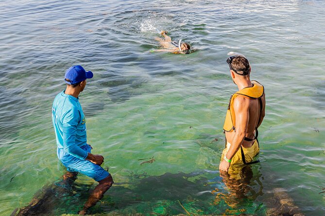 5-in-1 Cancun Snorkeling: Turtles, Reef, Musa, Shipwreck, Cenote - Boat and gear details that can make or break your comfort