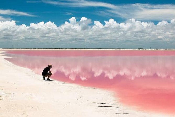Adventour Day: Coloradas and Rio Lagartos Excursion from Cancun! - Price and what you actually get for this $135 day