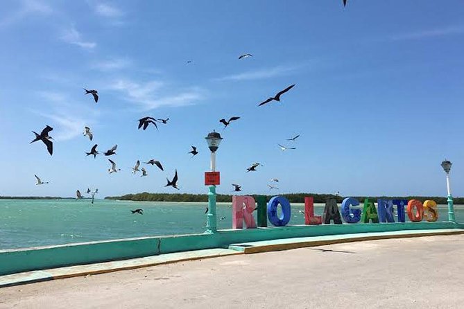 Adventour Day: Coloradas and Rio Lagartos Excursion from Cancun! - What to pack for this 12-hour-ish day trip