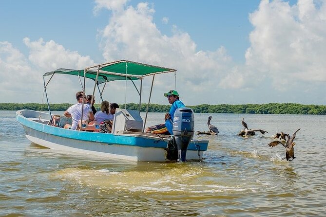 Adventour Day: Coloradas and Rio Lagartos Excursion from Cancun! - Who this Cancun to Las Coloradas and Rio Lagartos trip suits best
