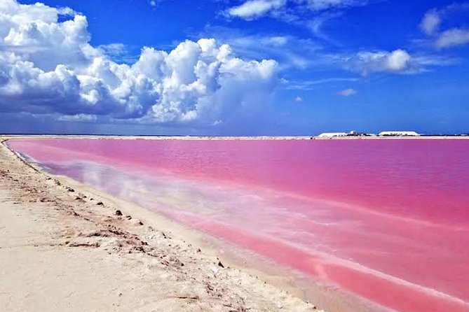 Adventour Day: Coloradas and Rio Lagartos Excursion from Cancun! - Las Coloradas pink lagoon: halobacteria, salt, and that famous color