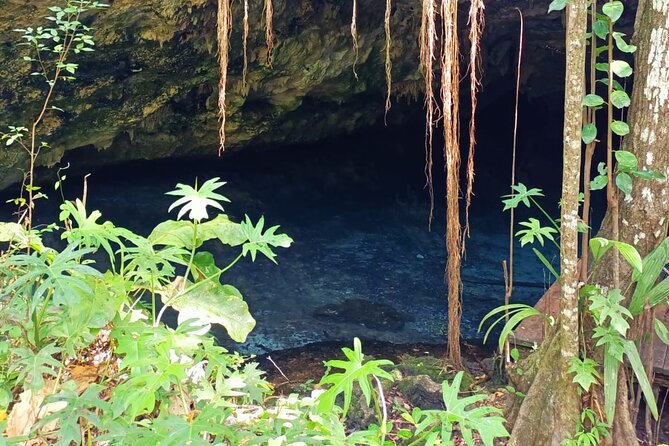 Akumal paradise tour Swimming with Turtles & ancient Tulum Ruins. Lunch included - Cenote No-ho Much: your included water break and lunch rhythm