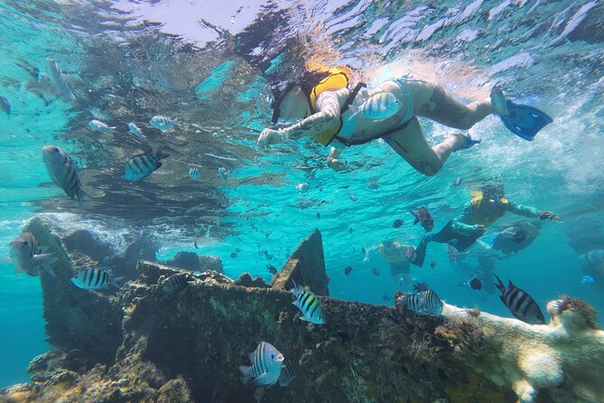 All-Inclusive Isla Mujeres Catamaran with Free Transportation - El Meco Reef snorkeling: gear included, and why timing matters