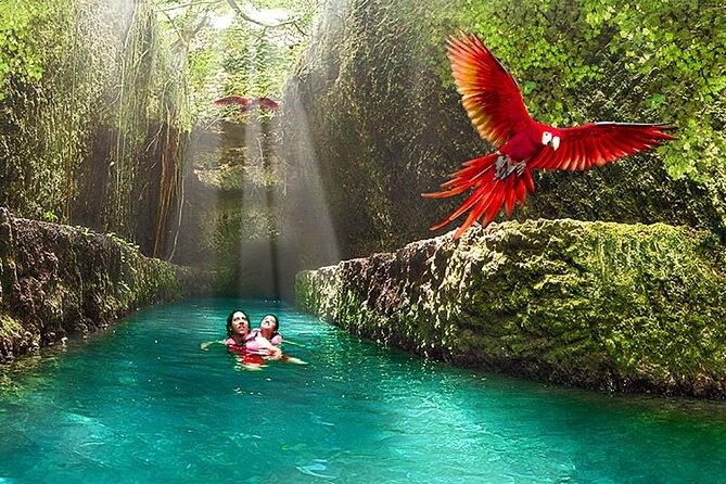 All-inclusive Xcaret Park with Transportation from Cancun & Playa Del Carmen - Price Check: Is $247 Good Value for This Kind of Day?