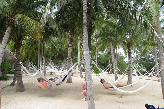 All Inclusive - Xel-Ha Park Tour from Cancún & Playa del Carmen - Lunch buffet and unlimited national open bar: refuel without leaving the park