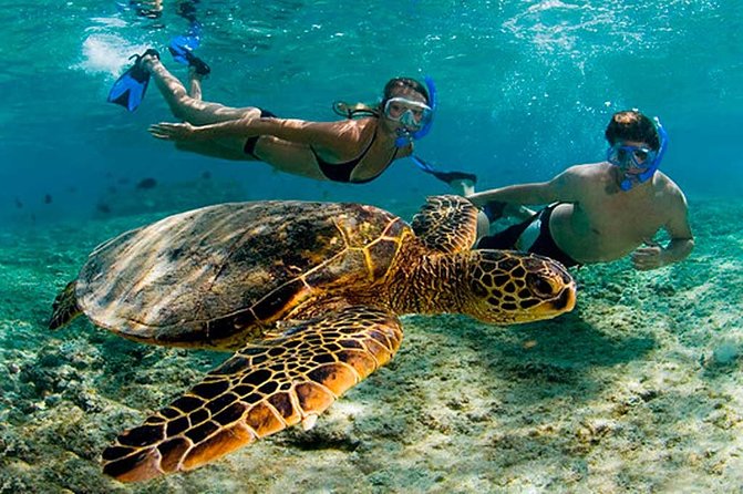Amazing Adventure in Akumal. Swim with turtles and discover Tulum Ruins. - Hotel pickup timing, and why it changes everything