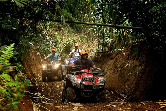 Amazing Combo Horseback & ATV Adventure with Pirate Show and Dinner - Price and Value: What $199 Really Buys You