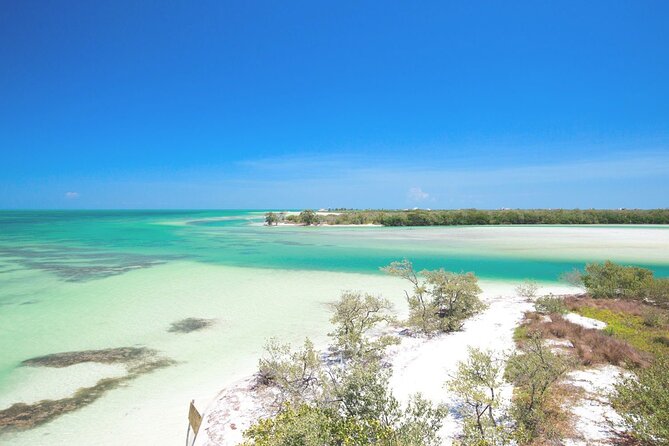 Amazing HOLBOX Full day tour and Cenote swim experience from Cancun! - Isla de la Pasion: Mangroves, a Walk, and a Viewpoint to Photograph