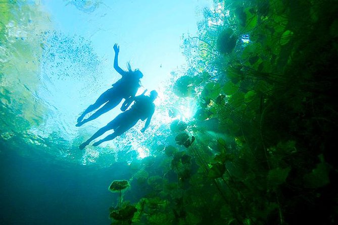 Amazing Mayan Tour Xenotes from Cancun - Price and value at $165 per person